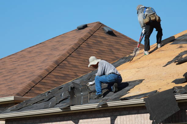 Best Roof Leak Repair  in Pleasant View, UT